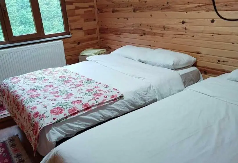 Standard Neljän Hengen Huone, Gogalay Bungalov Hotel  Restoran