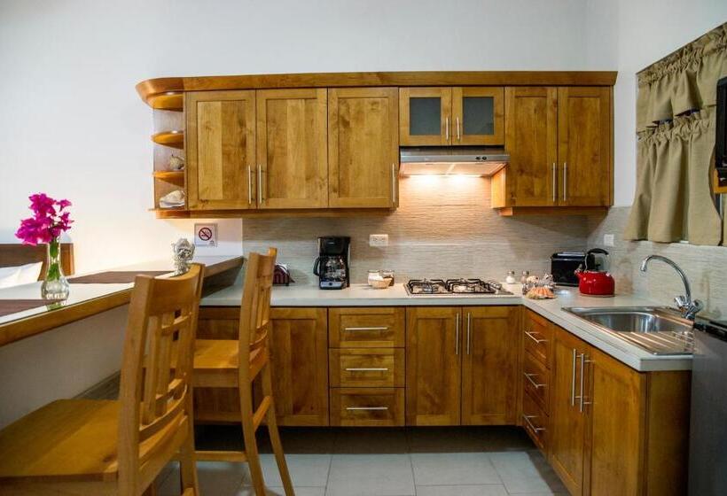 إستوديو قياسى, Bugambilias Suites