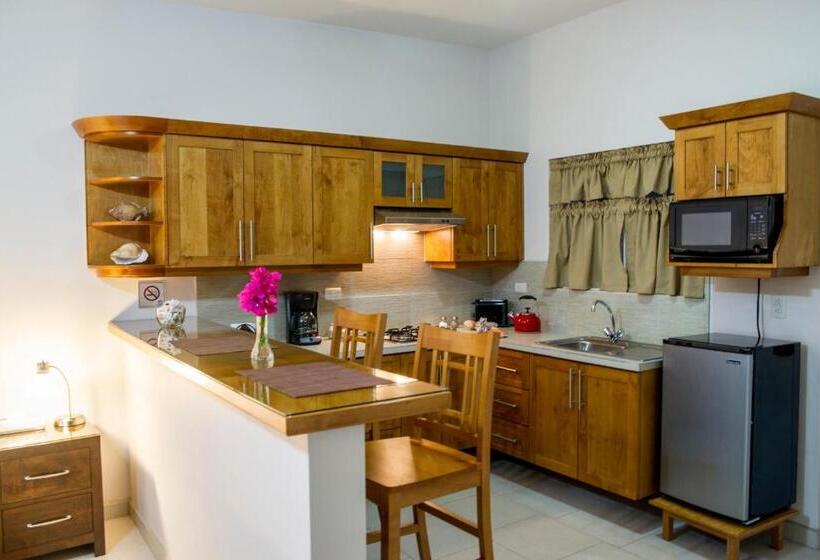 إستوديو قياسى, Bugambilias Suites