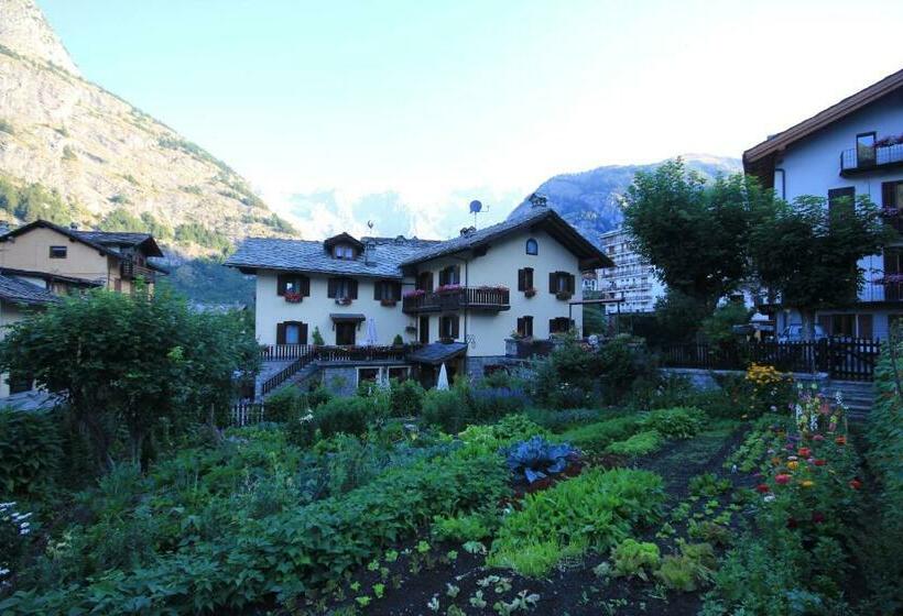 Номер Стандарт, Maison Laurent
