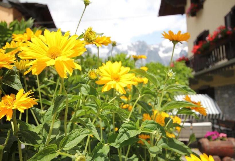 클래식 스위트, Maison Laurent