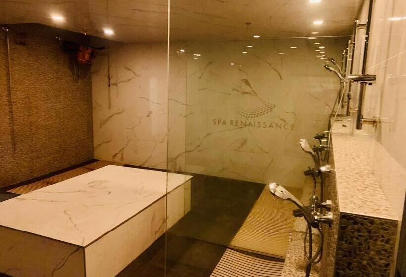 סוויטה, Septiles