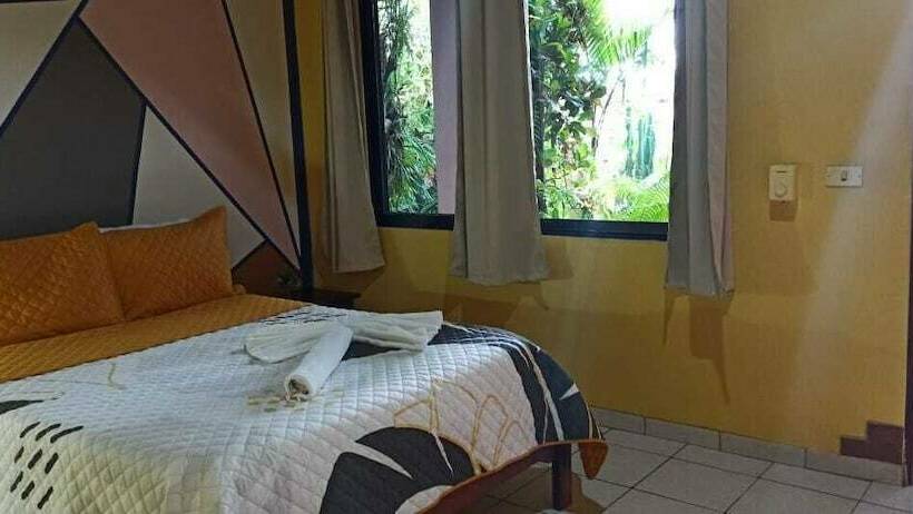 Номер Стандарт, Arte Natura