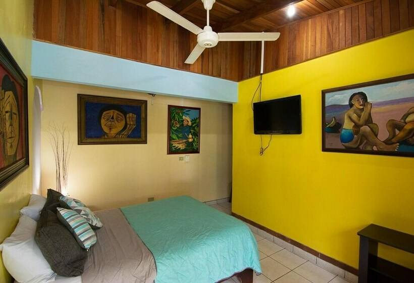 Номер Стандарт, Arte Natura