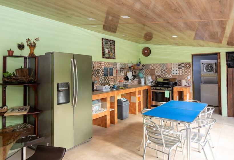 Семейный Номер, Arte Natura