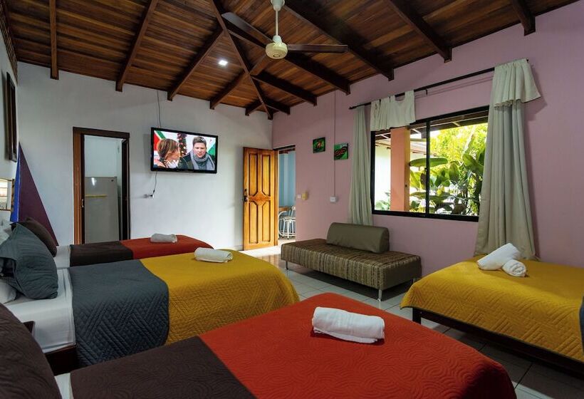 Семейный Номер, Arte Natura