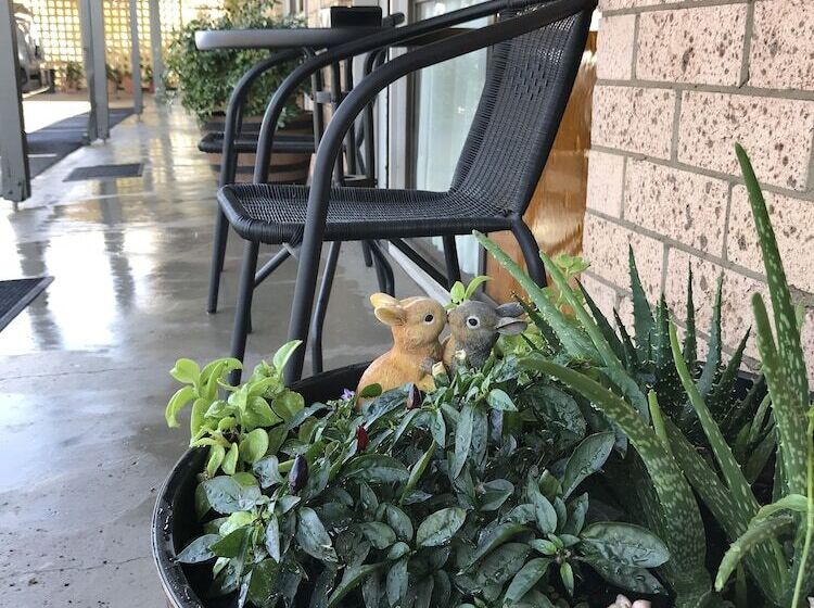 اتاق استاندارد, Mandalay Motel