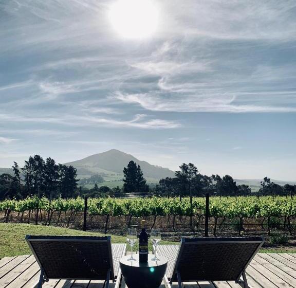 کلبه ییلاقی سوپریور یک خوابه, Marianne Wine Estate