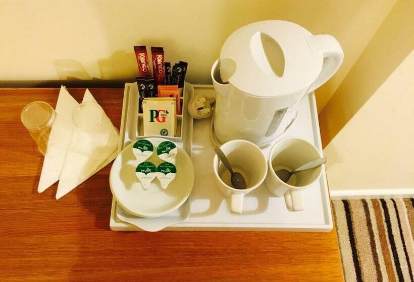 غرفة قياسية فردية, The Tudor House