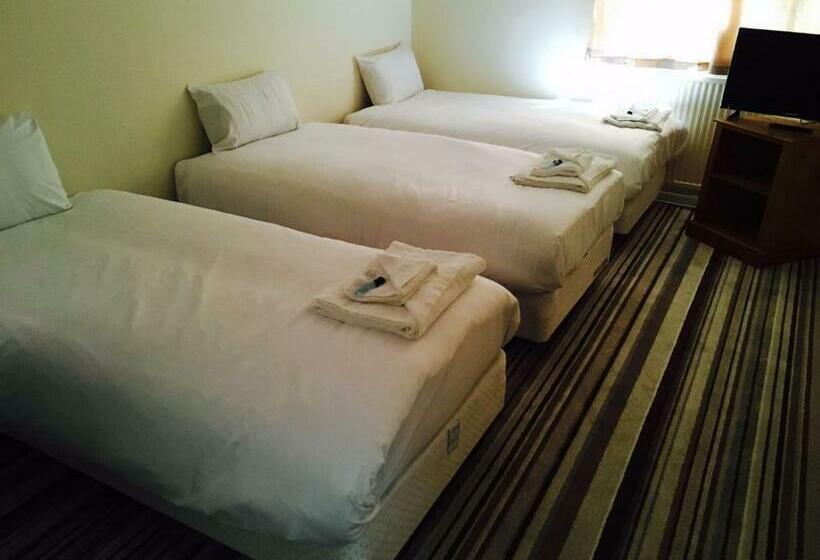 غرفة قياسية ثلاثية, The Tudor House