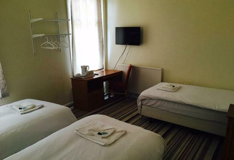 غرفة قياسية ثلاثية, The Tudor House