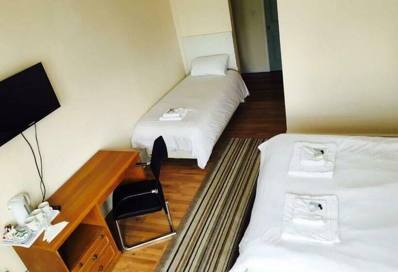 غرفة قياسية ثلاثية, The Tudor House