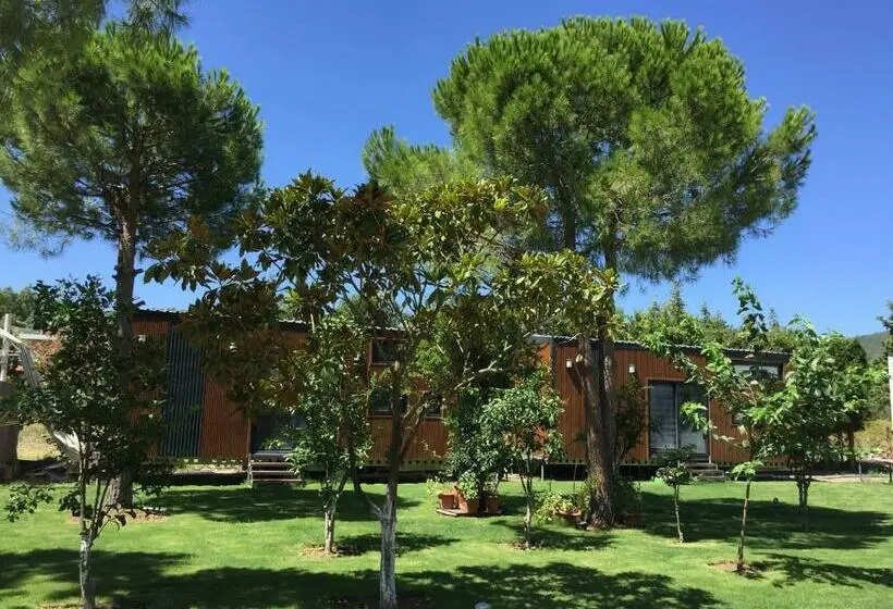 Standard-huone, Sakız Tinyhouse