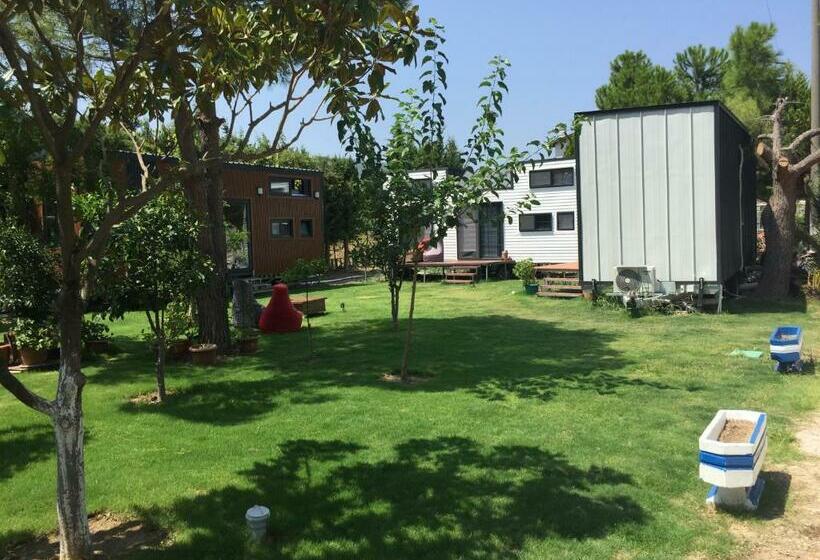 غرفة قياسية رباعية, Sakız Tinyhouse