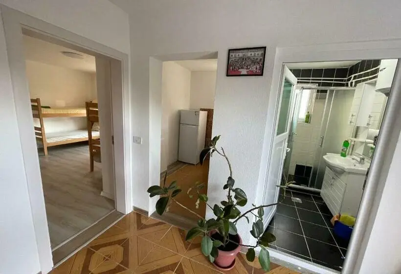 تختخواب در اتاق مشترک, Rock Hostel