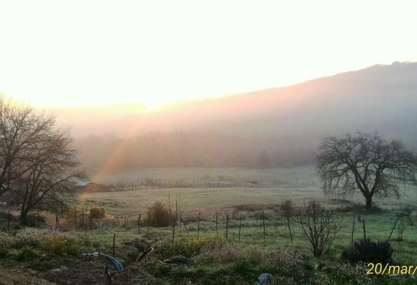 חדר סטנדרט, L Albero Degli Struzzi