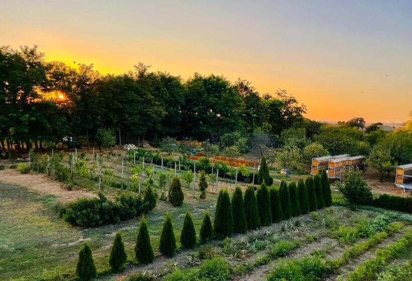 Номер Deluxe, Agropensiunea Cristian