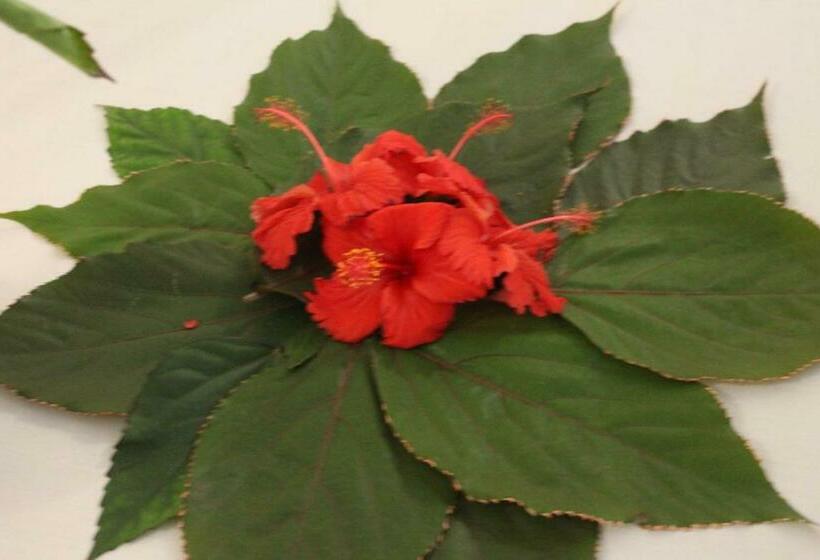 آپارتمان 1 خوابه همکف, Tumbo Swahili Villa