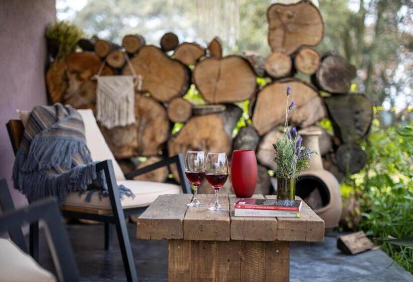 جناح, Casa María Campiña