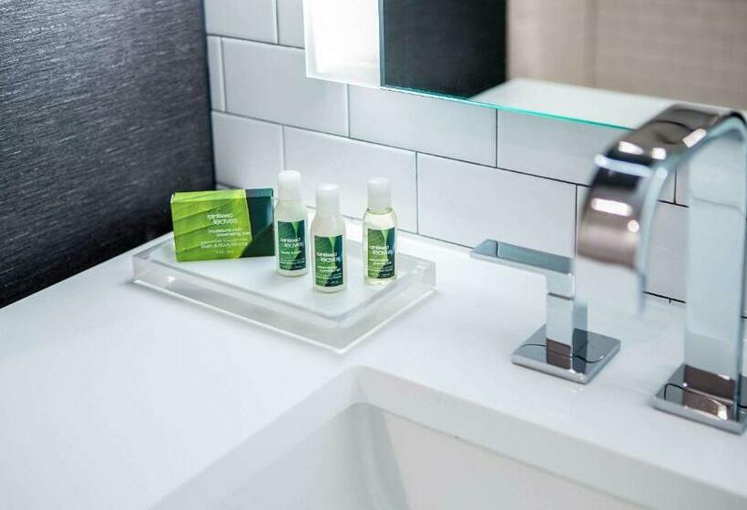 חדר סטנדרט עם מיטת קינג, The Southlake