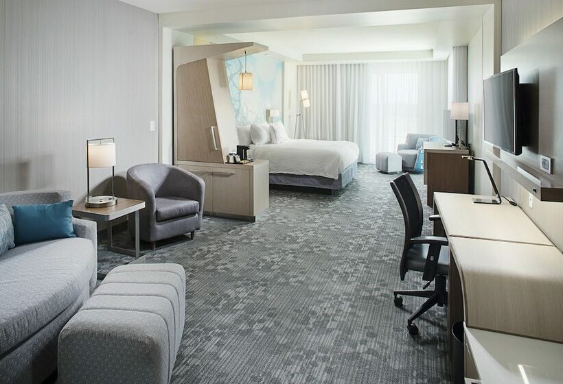 套房, Courtyard By Marriott Dallas Carrollton And Carrollton Conference Center