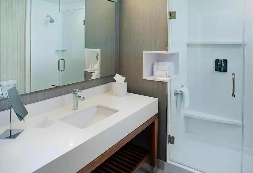 スタンダードルーム, Courtyard By Marriott Dallas Carrollton And Carrollton Conference Center