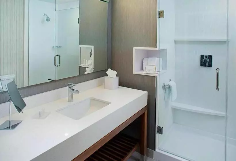 スイート, Courtyard By Marriott Dallas Carrollton And Carrollton Conference Center