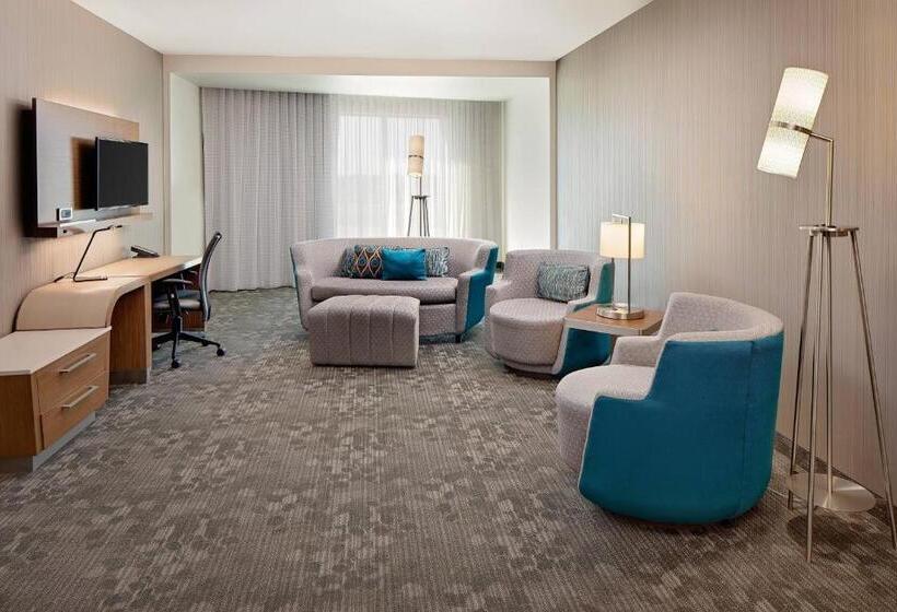 套房, Courtyard By Marriott Dallas Carrollton And Carrollton Conference Center