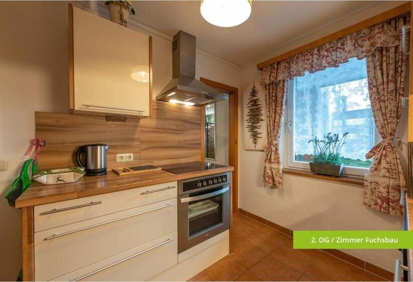 Апартаменты 1 Спальня, Platzhirsch Zur Alten Wagnerei Gästehaus