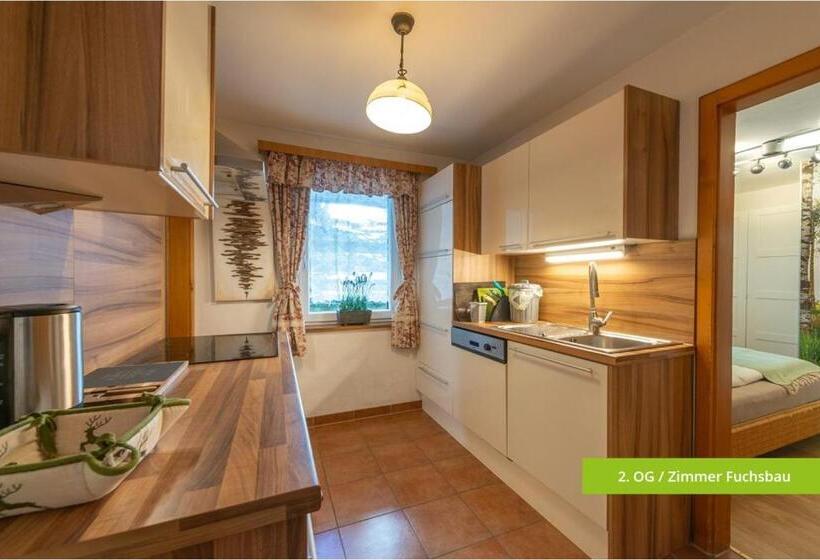 Апартаменты 1 Спальня, Platzhirsch Zur Alten Wagnerei Gästehaus