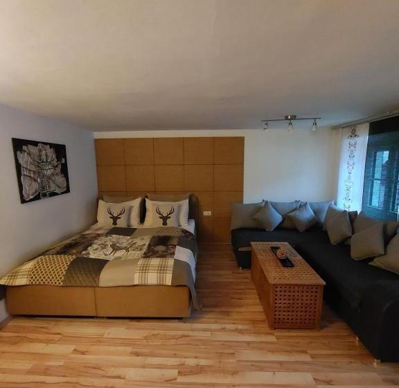 带2个卧室的公寓, Platzhirsch Zur Alten Wagnerei Gästehaus