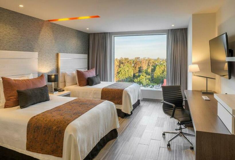 デラックスルーム, Real Inn Celaya