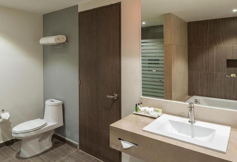 סוויטת ג'וניור, Real Inn Celaya