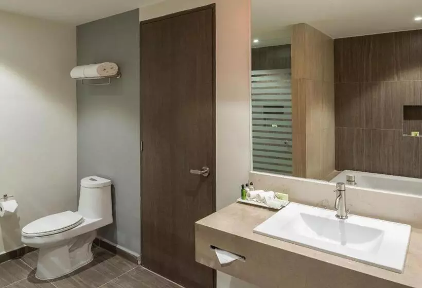 ジュニアスイート, Real Inn Celaya