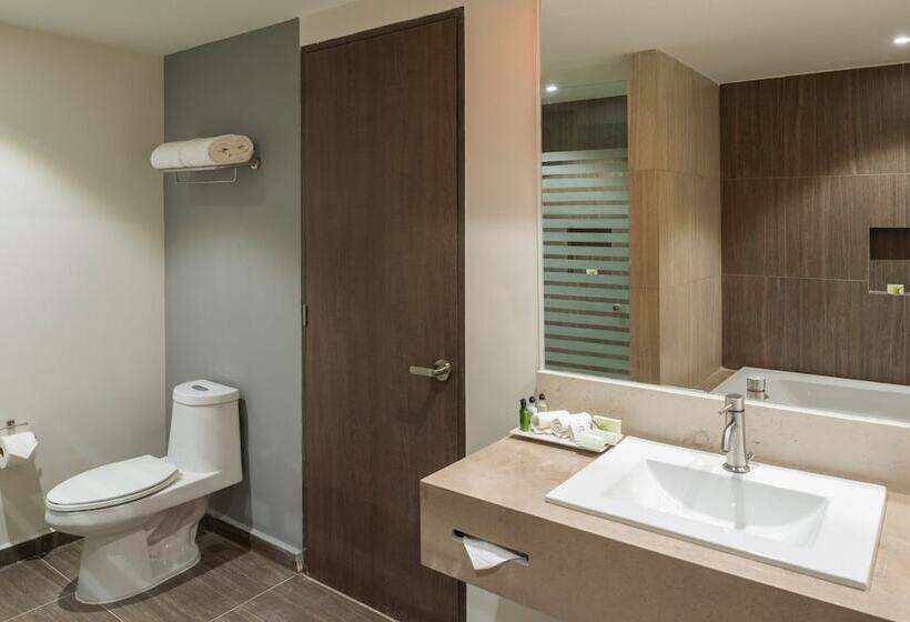 סוויטת ג'וניור, Real Inn Celaya