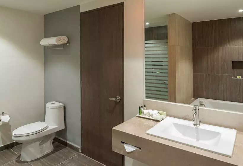ジュニアスイート, Real Inn Celaya