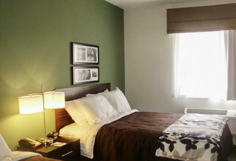 غرفة قياسية, Sleep Inn & Suites East Syracuse