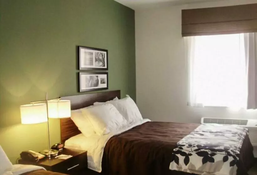 スタンダードルーム, Sleep Inn & Suites East Syracuse