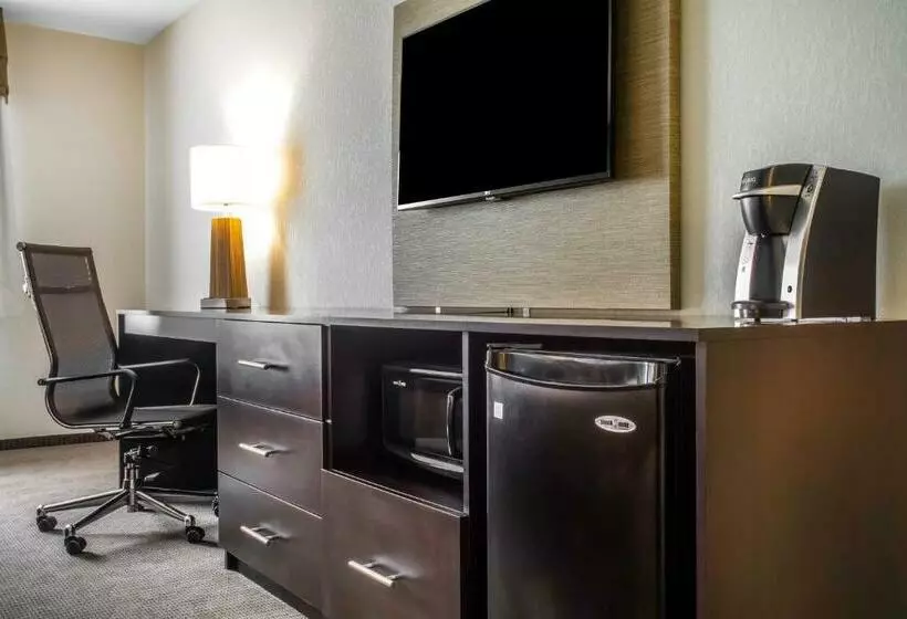 キングサイズベッドのスタンダードルーム, Sleep Inn & Suites East Syracuse