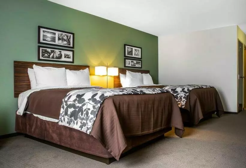 スタンダードルーム, Sleep Inn & Suites East Syracuse
