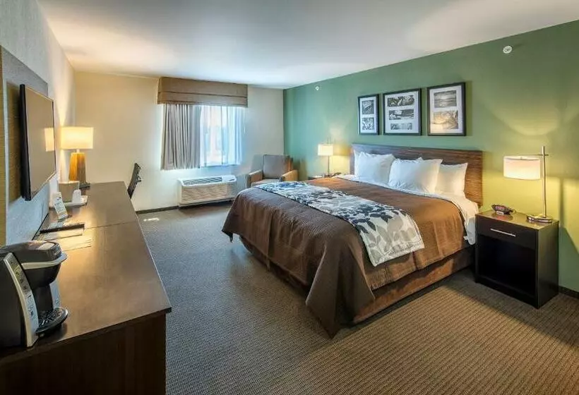 キングサイズベッドのスタンダードルーム, Sleep Inn & Suites East Syracuse