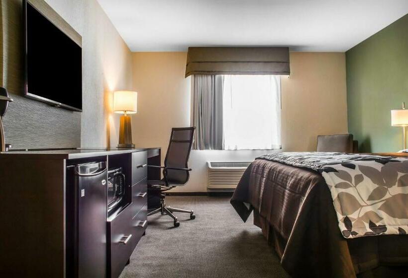 Quarto Estandar Cama King, Sleep Inn & Suites East Syracuse