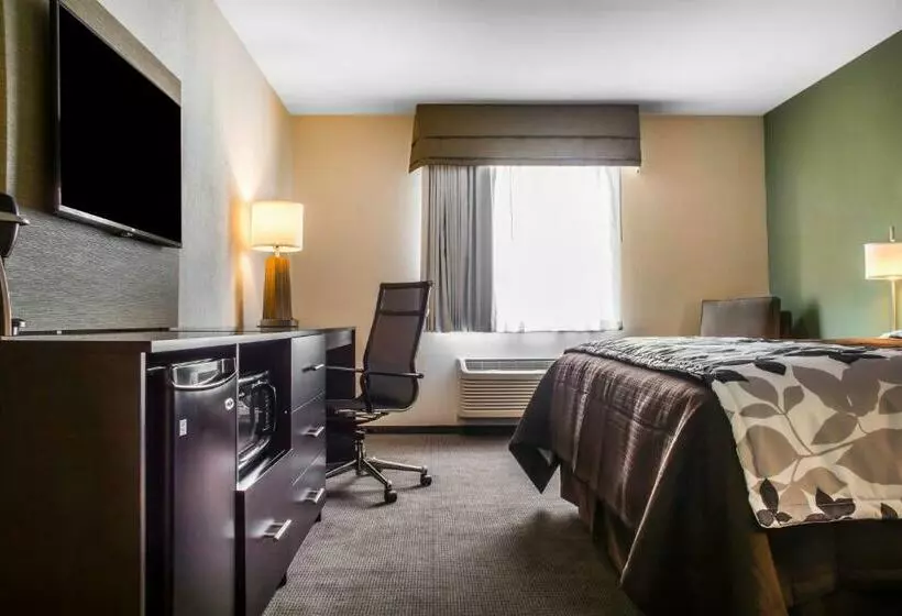 キングサイズベッドのスタンダードルーム, Sleep Inn & Suites East Syracuse