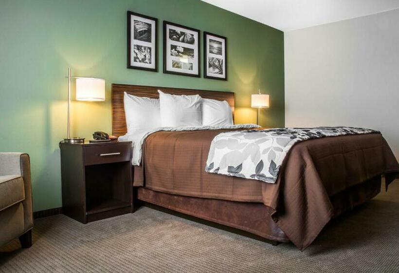 带大床的标准间, Sleep Inn & Suites East Syracuse