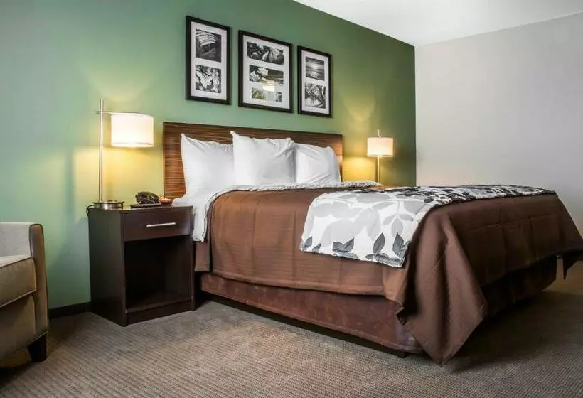 キングサイズベッドのスタンダードルーム, Sleep Inn & Suites East Syracuse