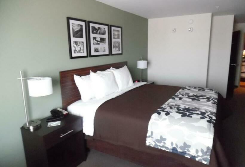 غرفة قياسية سرير كينج, Sleep Inn & Suites East Syracuse