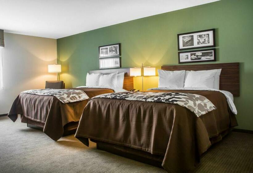 غرفة قياسية, Sleep Inn & Suites East Syracuse