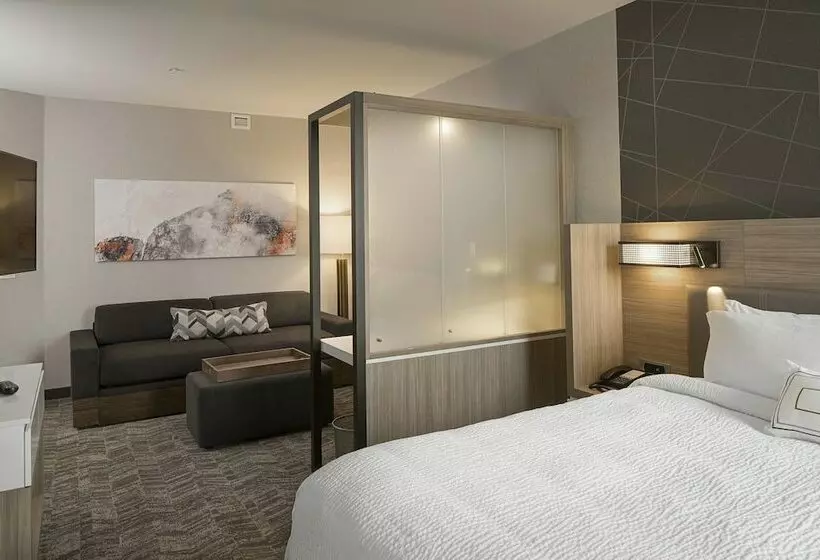 スイート, Springhill Suites By Marriott Kalispell