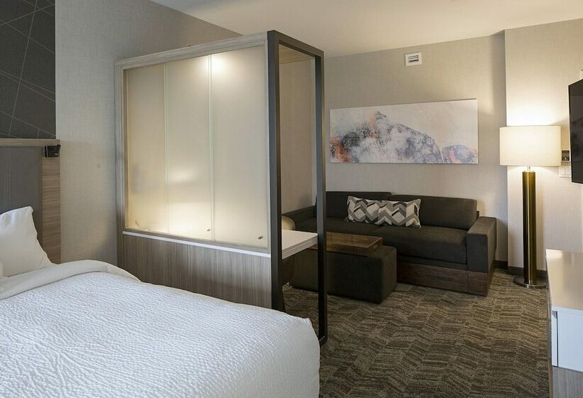 Люкс, Springhill Suites By Marriott Kalispell