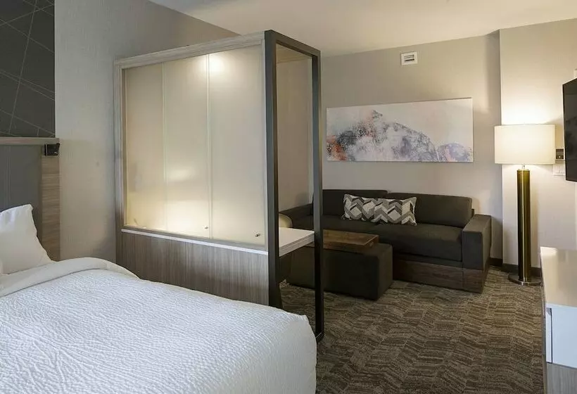 スイート, Springhill Suites By Marriott Kalispell